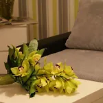 Irs Royal Irs Nadmorski Dwór Apartamento