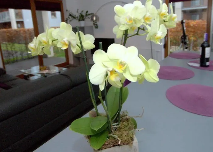 Irs Royal Irs Nadmorski Dwor شقة غدانسك