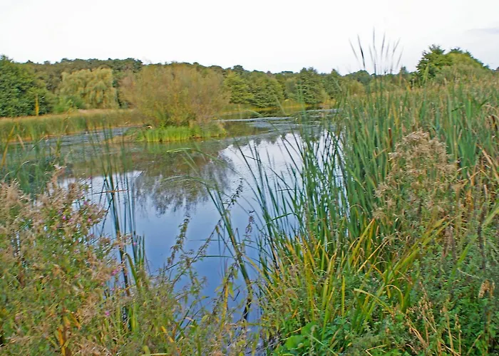 Irs Royal Irs Nadmorski Dwor Gdansk