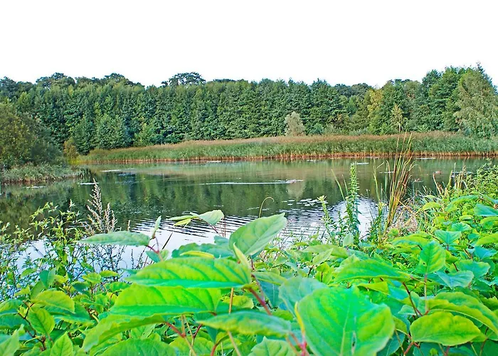 Lejlighed Irs Royal Irs Nadmorski Dwor *